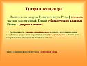 Севернее Полярного круга