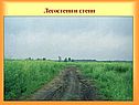 Лесостепи и степи