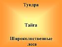 Тундра