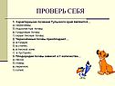 Проверь себя