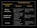 «Почва» 8 класс