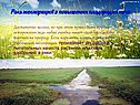 Роль мелиораций в повышении плодородия почв