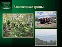 Почвы Кубани