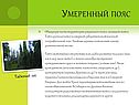 Умеренный пояс