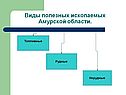 Виды полезных ископаемых