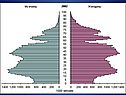 Половозрастная структура населения России