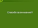 Спасибо за внимание