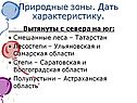 Природные зоны