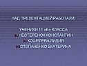 Нестеренок Константин