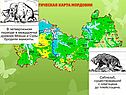 Геологическая карта Мордовии