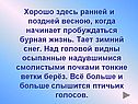 Тает зимний снег