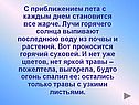 С приближением лета с каждым днем становится все жарче