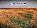 Зона степей