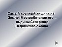 Самый крупный хищник на Земле