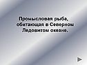 Промысловая рыба, обитающая в Северном Ледовитом океане