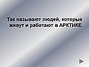 Так называют людей, которые живут и работают в Арктике