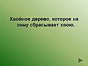Хвойное дерево, которое на зиму сбрасывает хвою