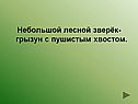 Небольшой лесной зверёк-грызун с пушистым хвостом