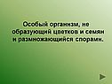 Особый организм, не образующий цветков и семян