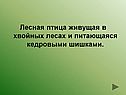 Лесная птица