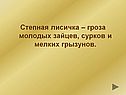 Степная лисичка – гроза молодых зайцев, сурков и мелких грызунов