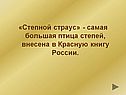 «Степной страус» - самая большая птица степей