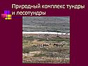 Природный комплекс тундры и лесотундры