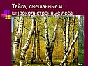 Тайга, смешанные и широколиственные леса