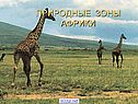Природные зоны Африки