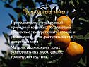 Природные зоны