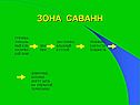 Зона саванн