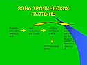 Зона тропических пустынь