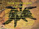 Пустынь