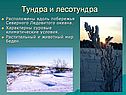 Тундра и лесотундра