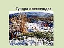 Тундра и лесотундра