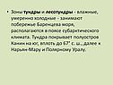 Зоны тундры и лесотундры