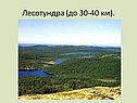 Природные зоны Русской равнины
