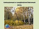 Смешанные и широколиственные леса