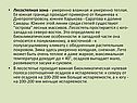 Лето