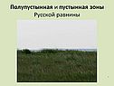 Полупустынная и пустынная зоны Русской равнины