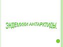 Эндемики антарктиды