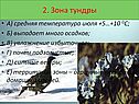 Зона тундры