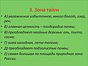 Зона тайги