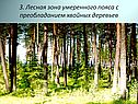 Природные зоны на территории России