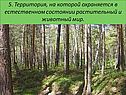 Растительный и животный мир