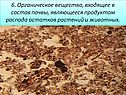 Органическое вещество, входящее в состав почвы