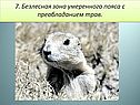 Безлесная зона умеренного пояса с преобладанием трав