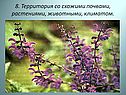 Территория со схожими почвами, растениями, животными, климатом
