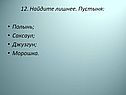 Пустыня