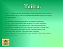 Тайга
